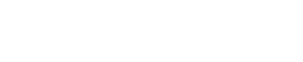 Vastpoint Logo